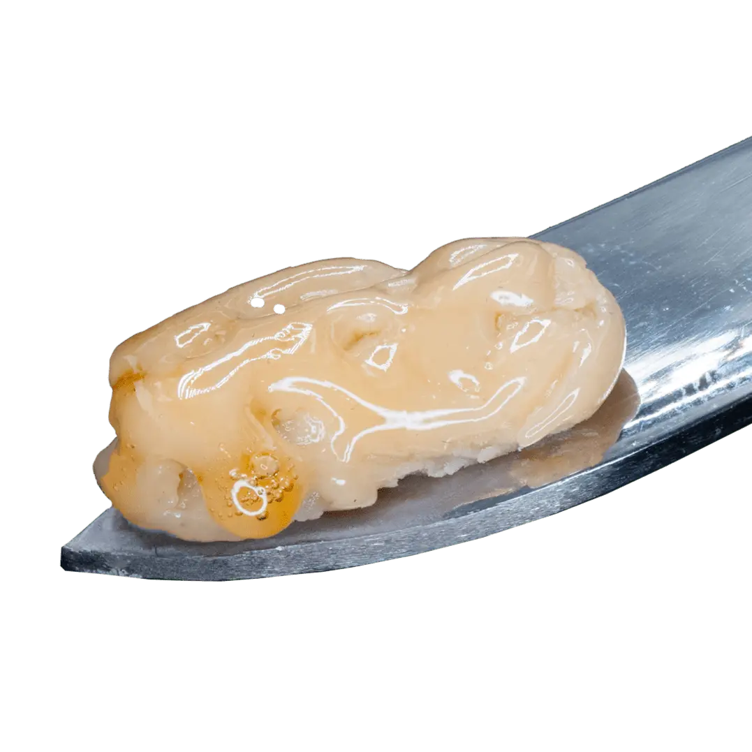 Live Hash Rosin (Tier 3)