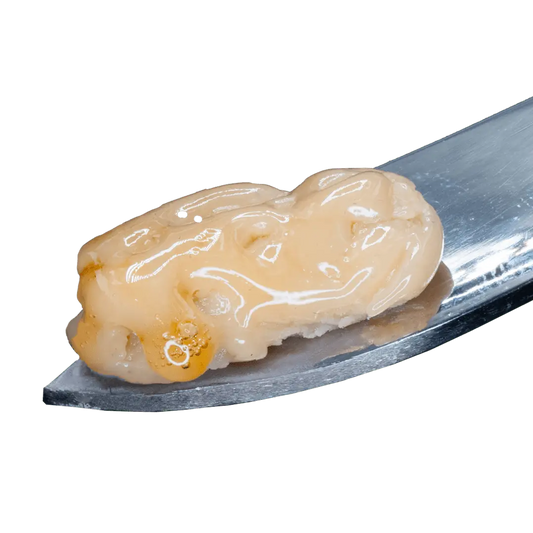 Live Hash Rosin (Tier 3)