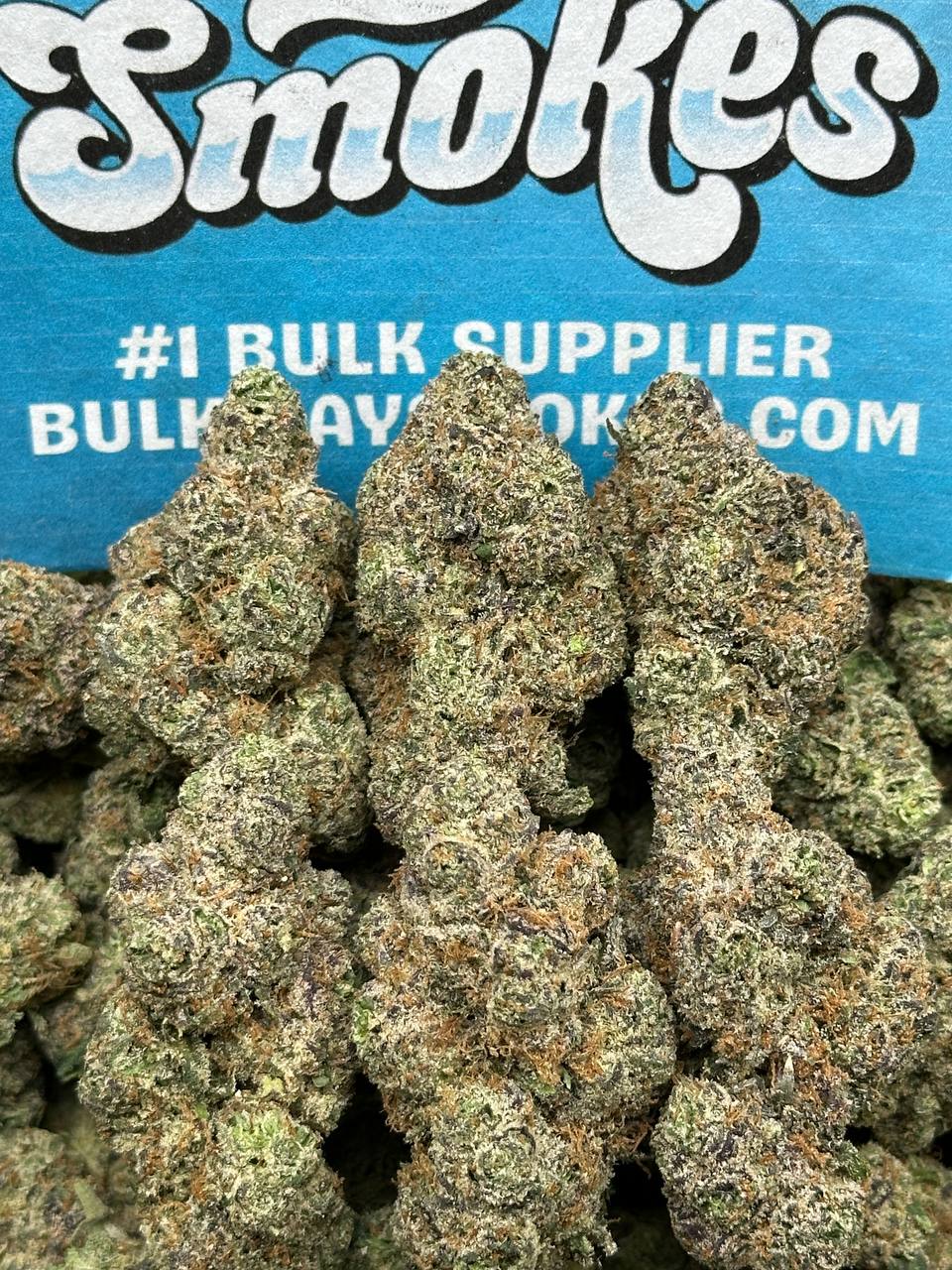 Cereal Milk (Indica Hybrid)