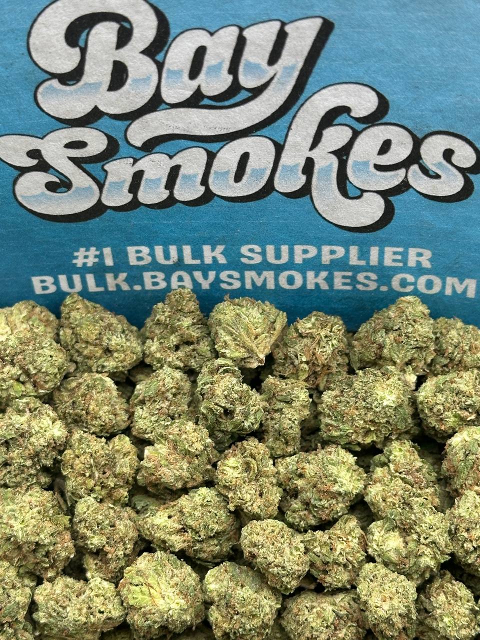 Koolato SM (Indica)