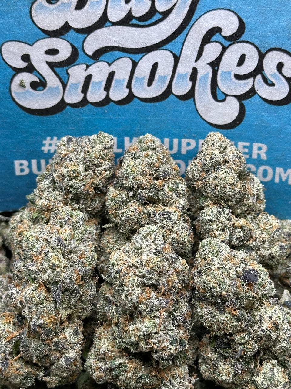 Gelatti (Indica)