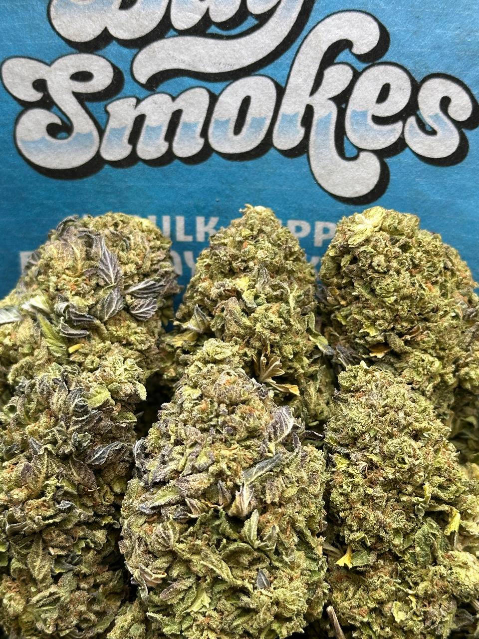 Cheetah Pizz(Indica)