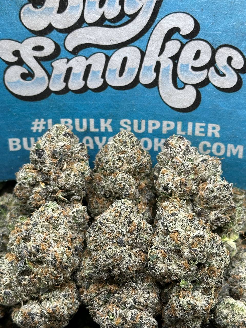 Grape Soda(Hybrid)