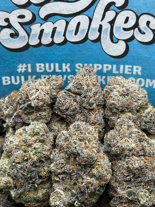 Gelato 33 (Hybrid)