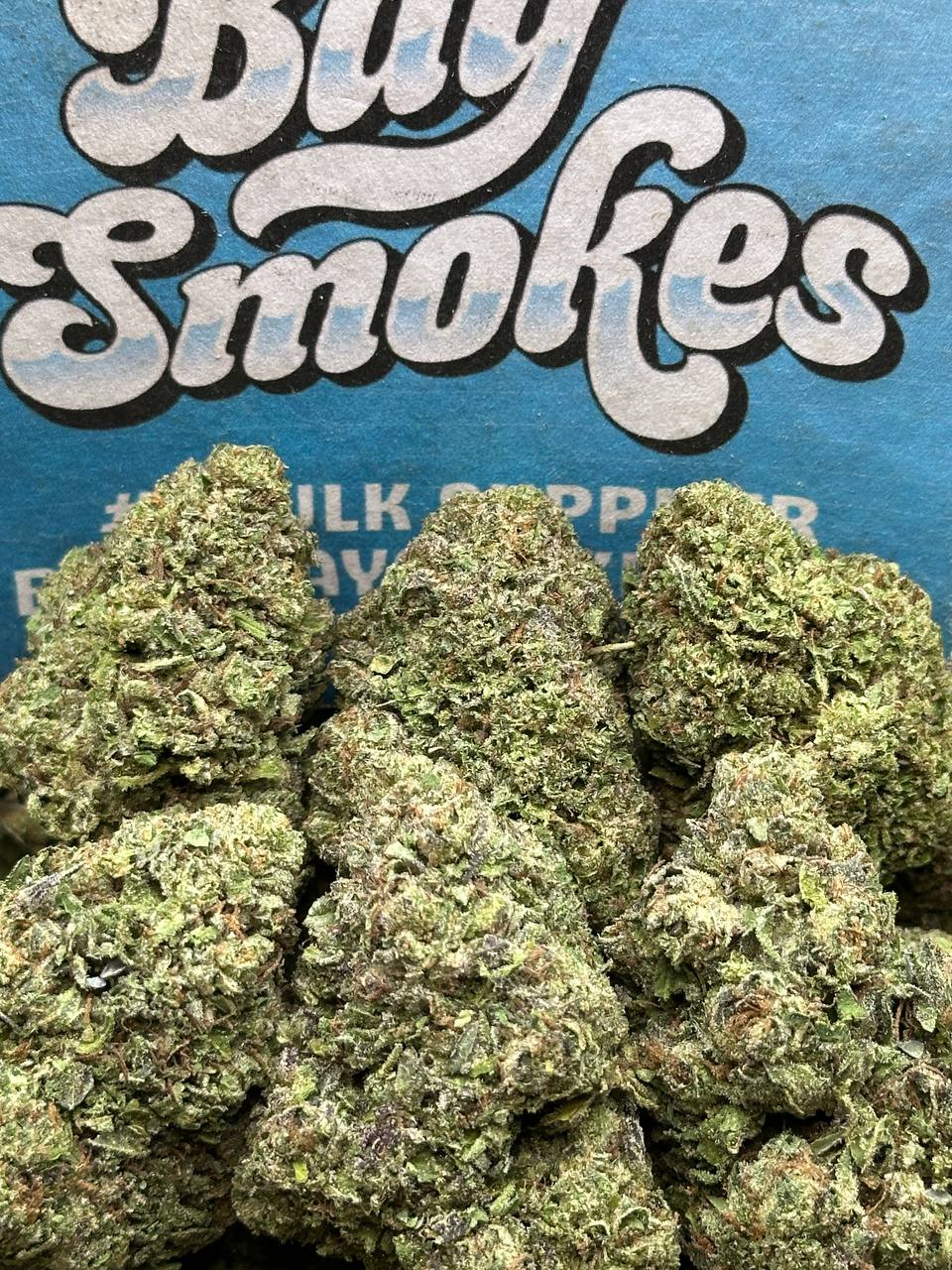 Horchata (Indica)