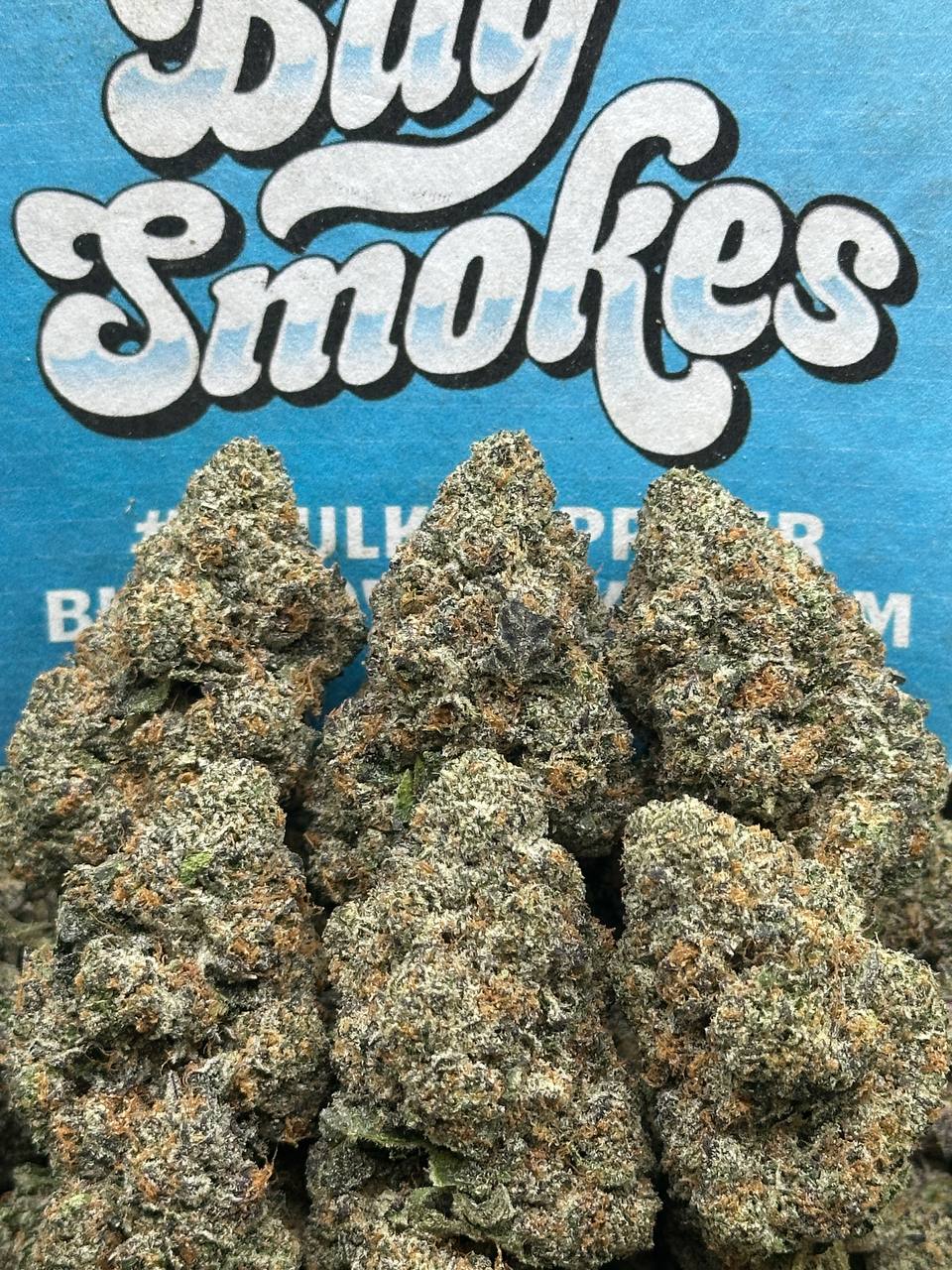 Permanent Marker (Indica)