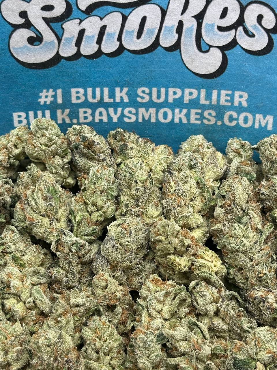 Apple Fritter SM (Hybrid)