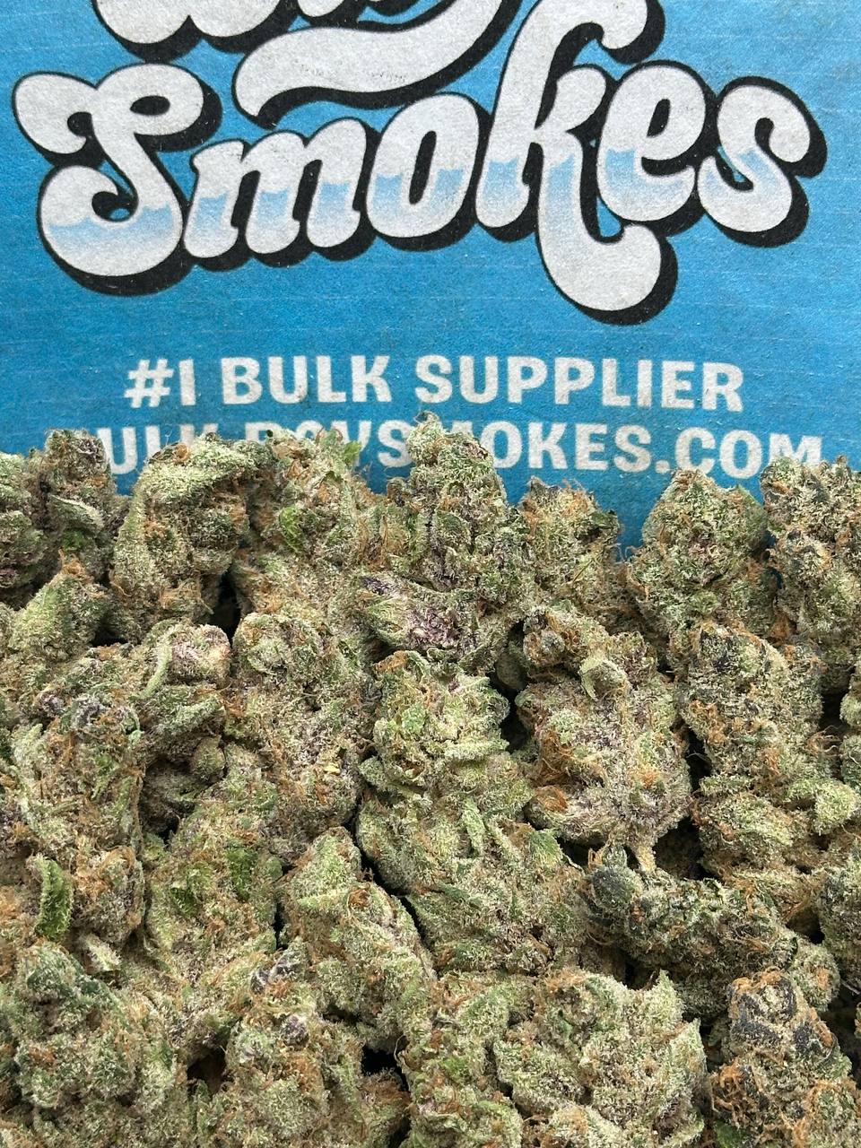 Biscotti SM (Indica)