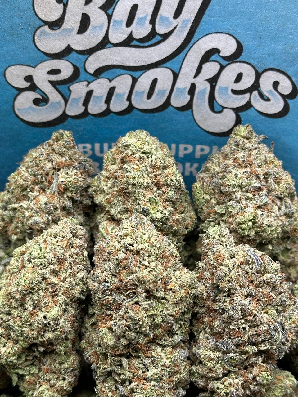 Mango Dream (Hybrid)