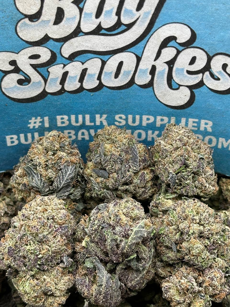 Mr Nasty (Indica Hybrid)