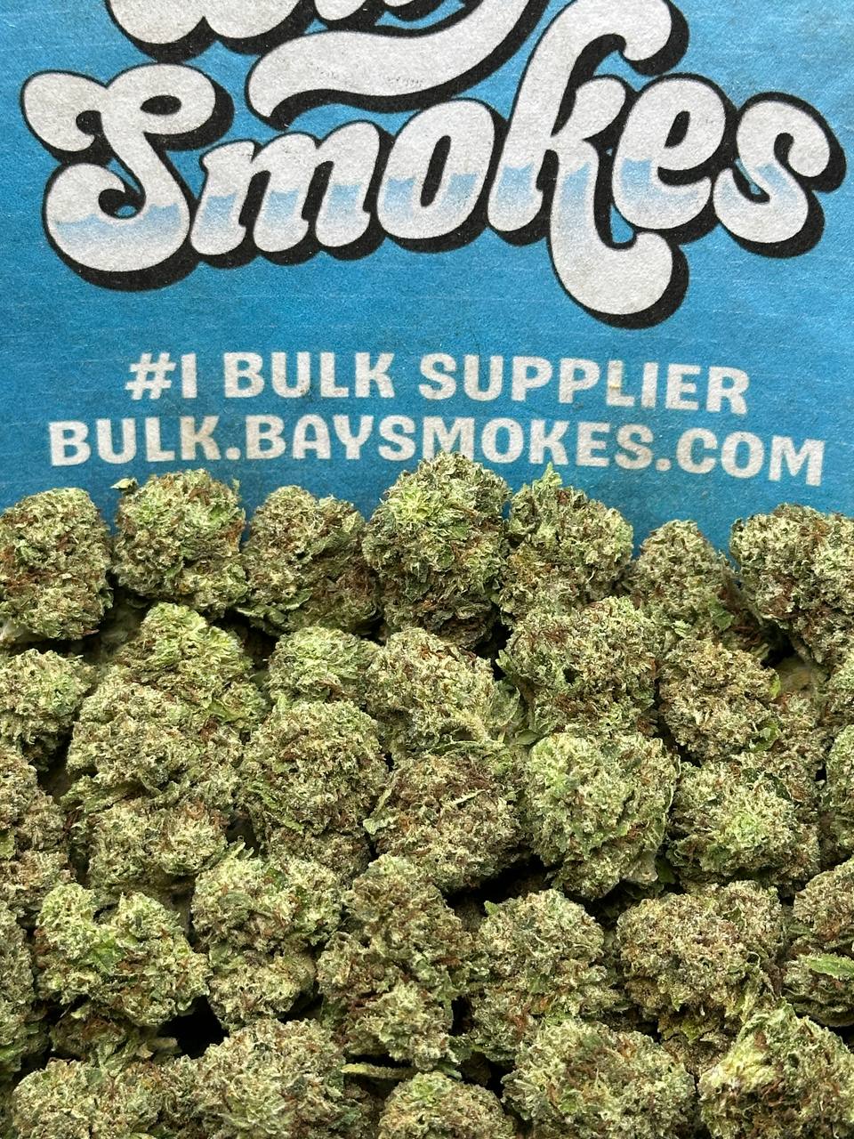 Gorilla Glue SM (Indica)