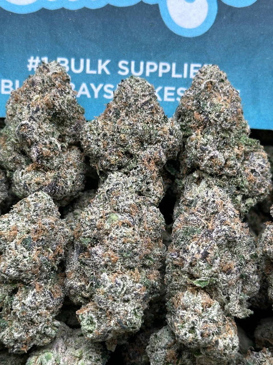 Blue Cherry Gelato (Indica Hybrid)
