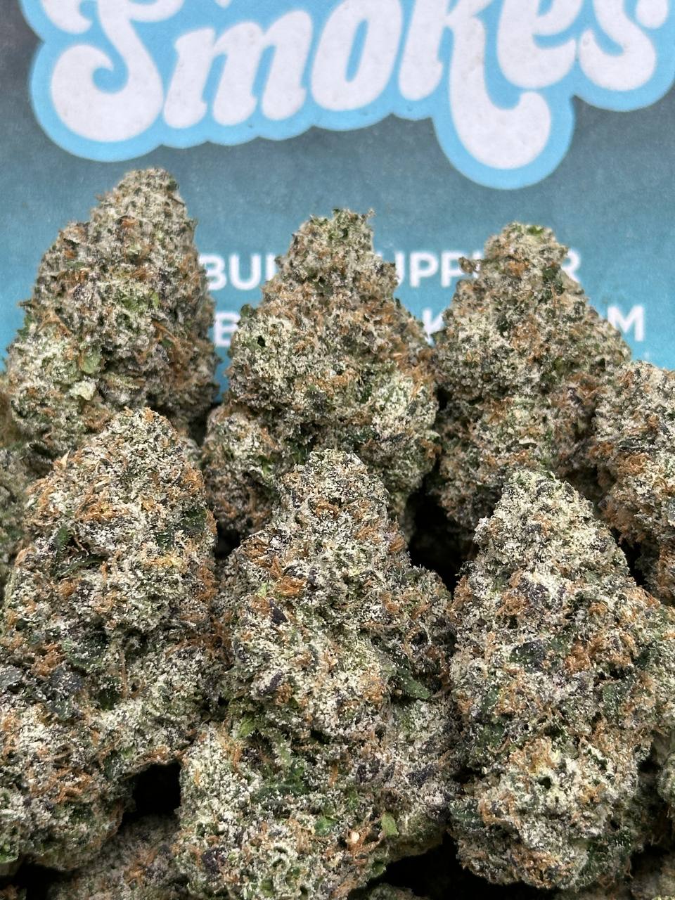 WOW 2.0 (Indica)