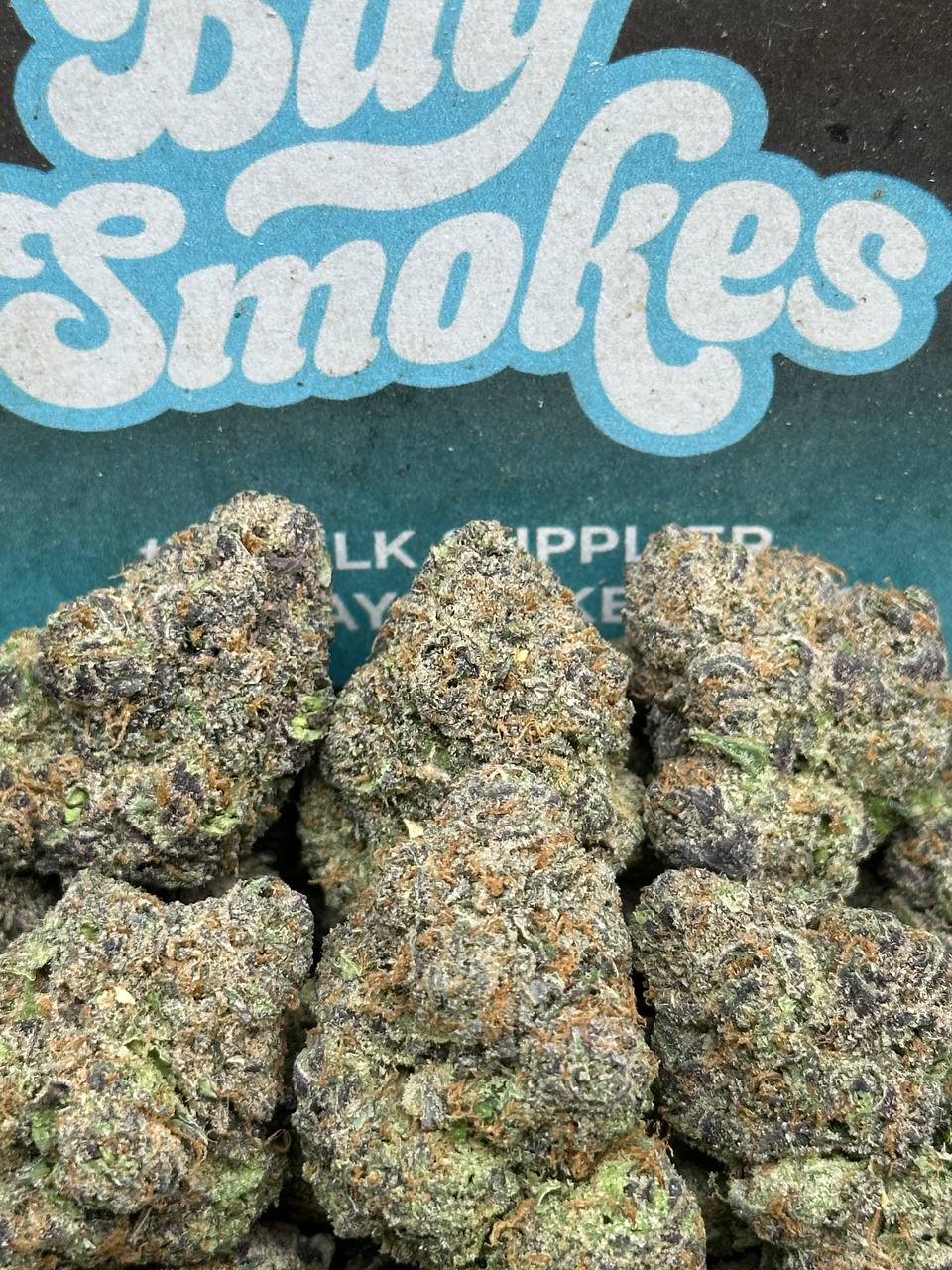 Purple Push Pop (Hybrid)