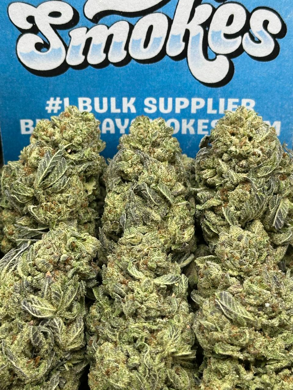 Gelatti (Sativa Hybrid)