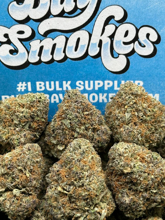 Jet Fuel Runtz (Hybrid)