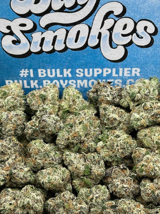 L'Atelier Starhush (Indica)