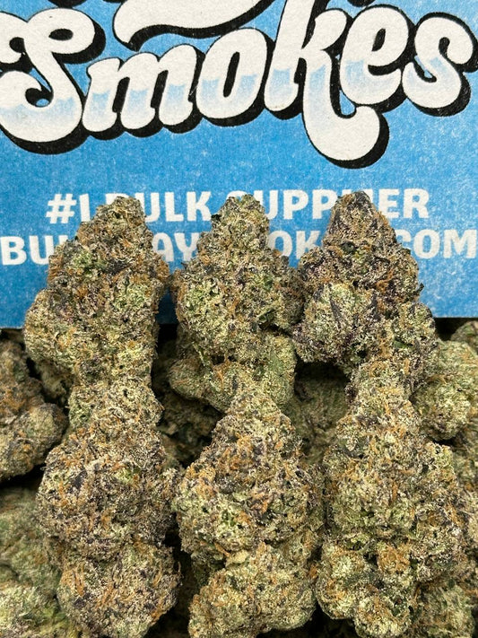 ZAP (Indica)