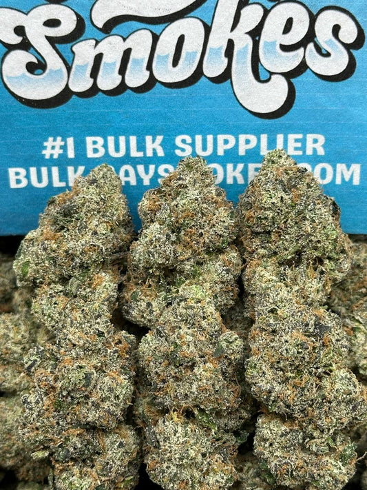 WHAM (Indica Hybrid)