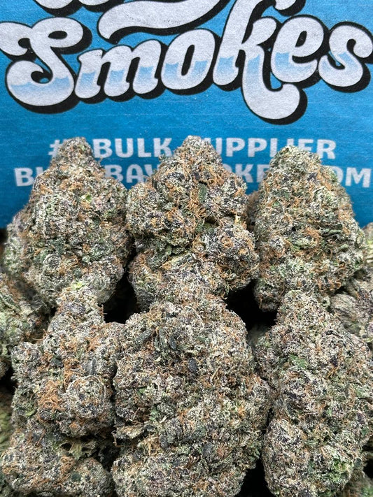 Gelato 45 (Hybrid)