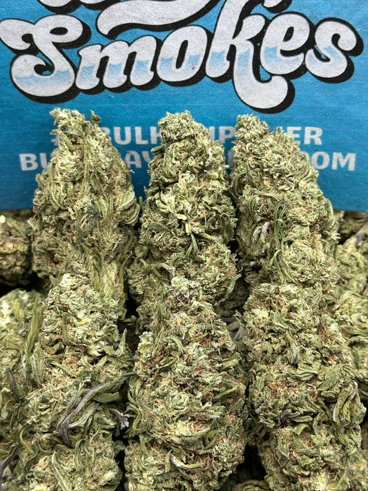 Utopia Runtz  (Hybrid)
