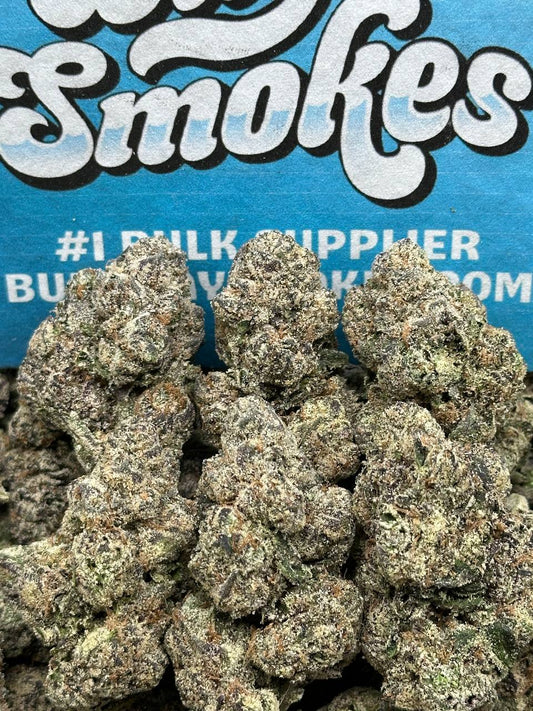 Brain Freeze Gelato (Hybrid)
