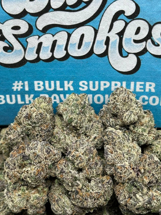 Cherry Boombay (Hybrid)