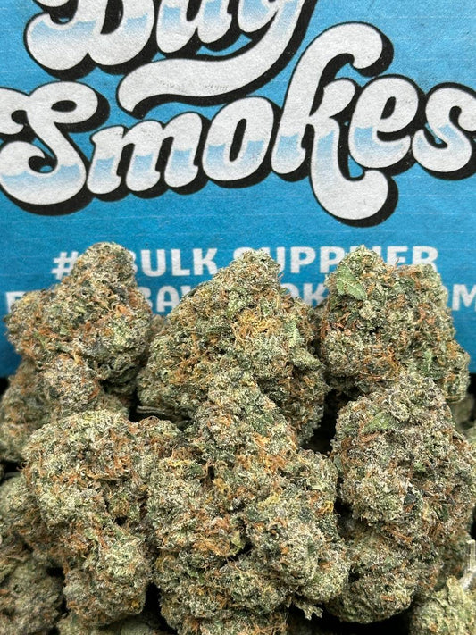 Zuper Bolo (Indica)