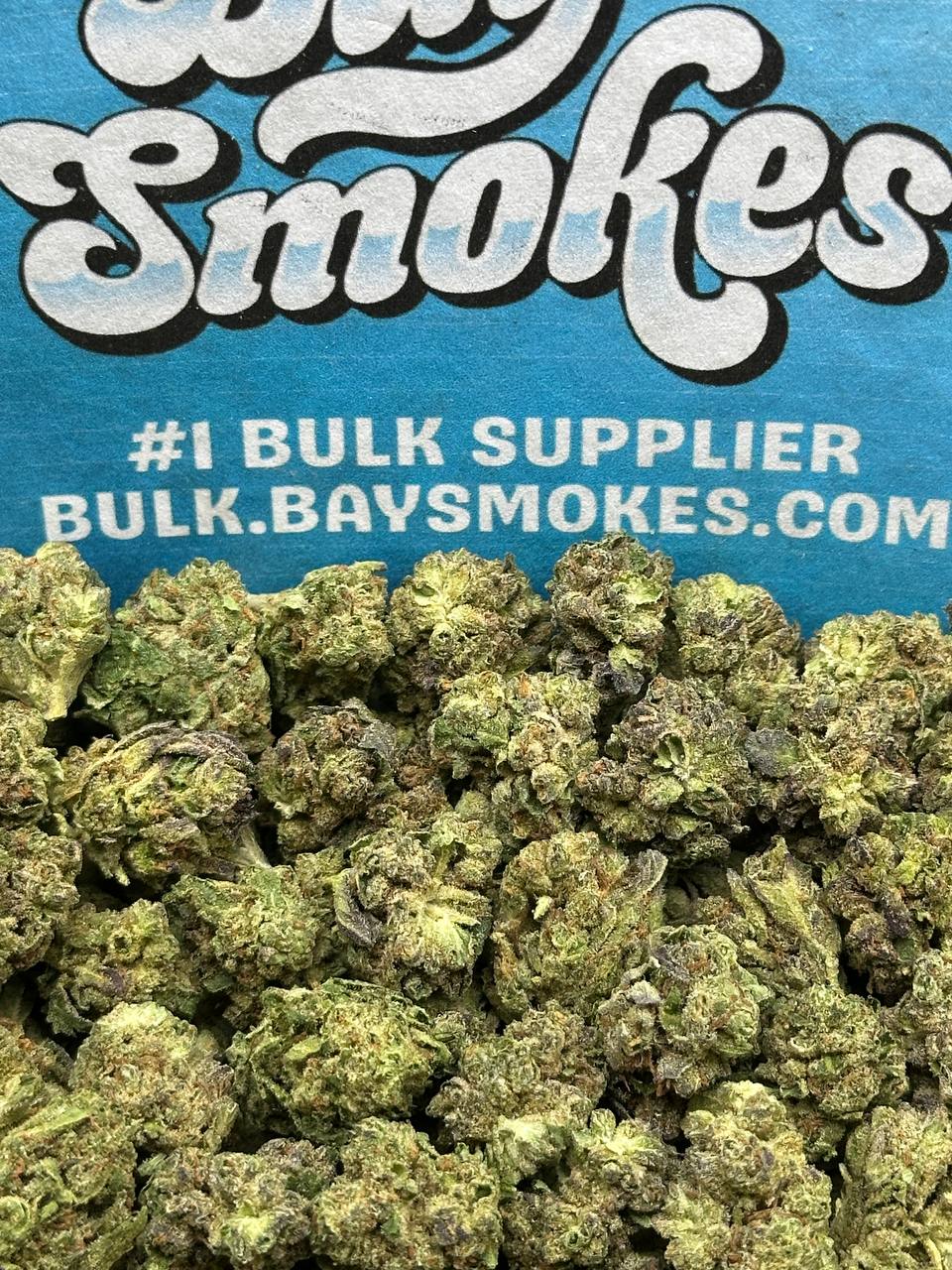 Riddler SM (Indica Hybrid)