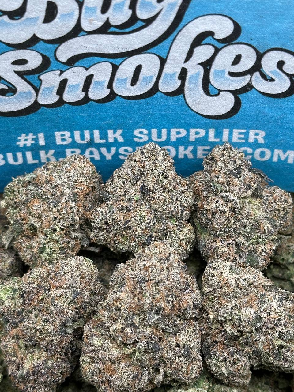 Gelato 33 (Indica)