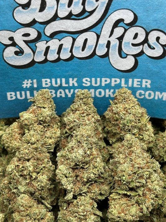 Biscotti (Indica)