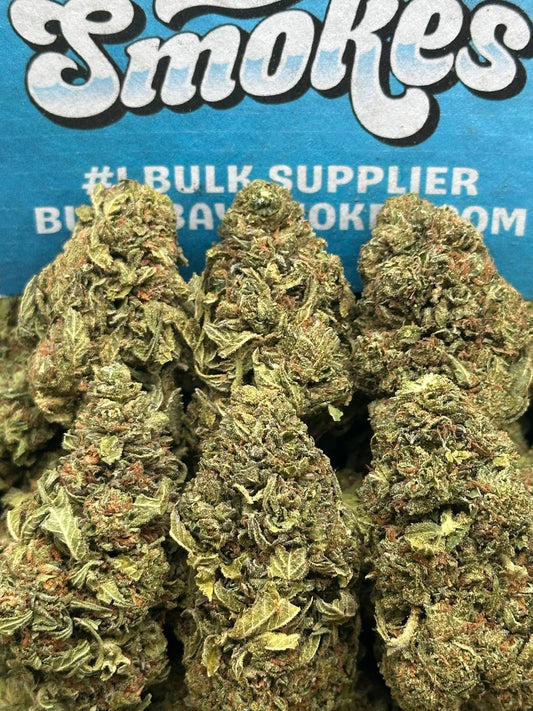 Mr Nasty (Hybrid)
