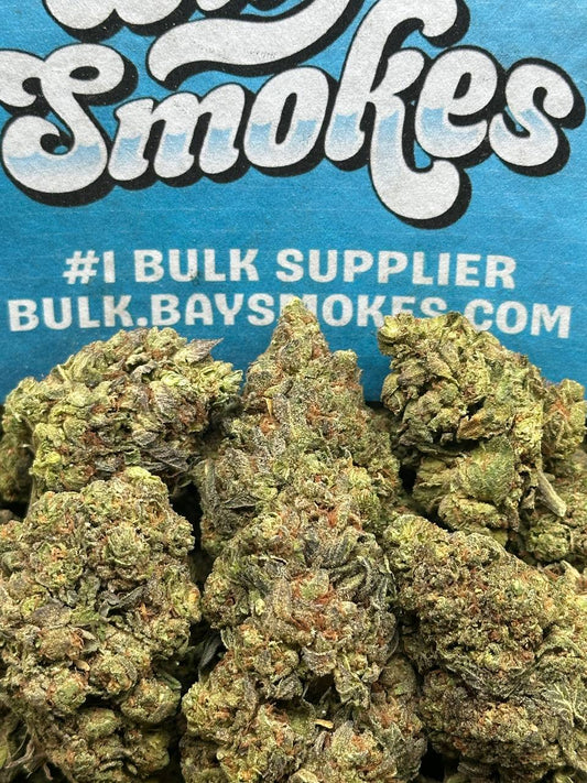 Kush Mintz (Hybrid)