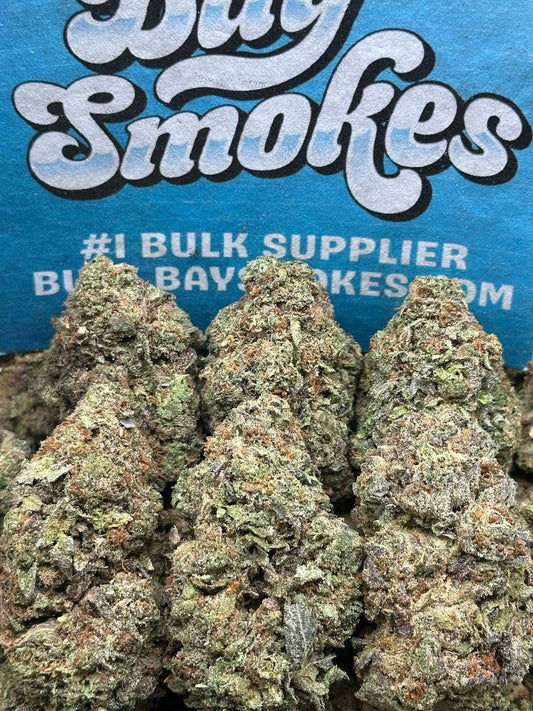 Horchata (Indica)