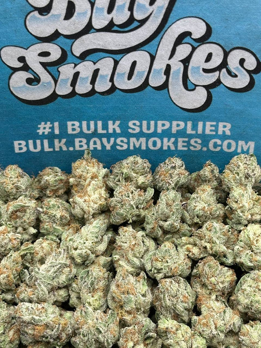 Jet Fuel Gelato SM (Hybrid)