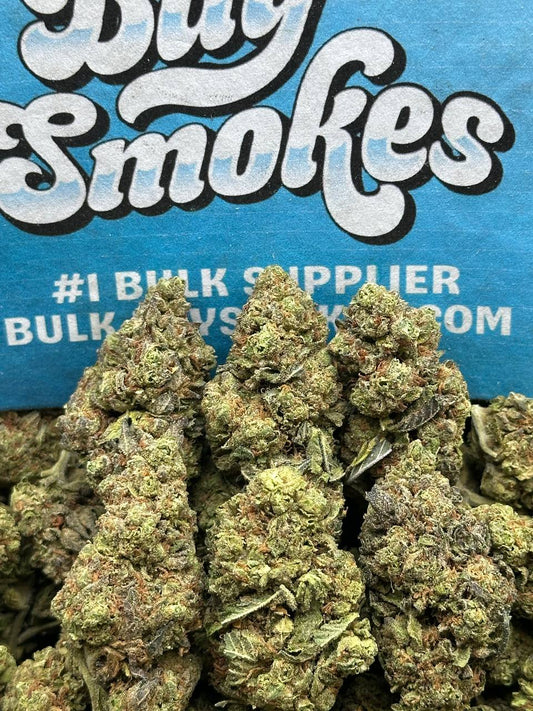 Biscotti (Hybrid)
