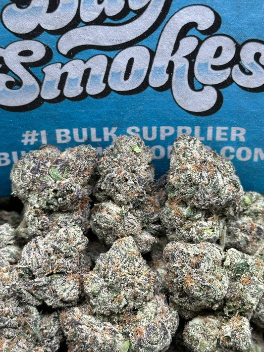 Mango Dream (Hybrid)