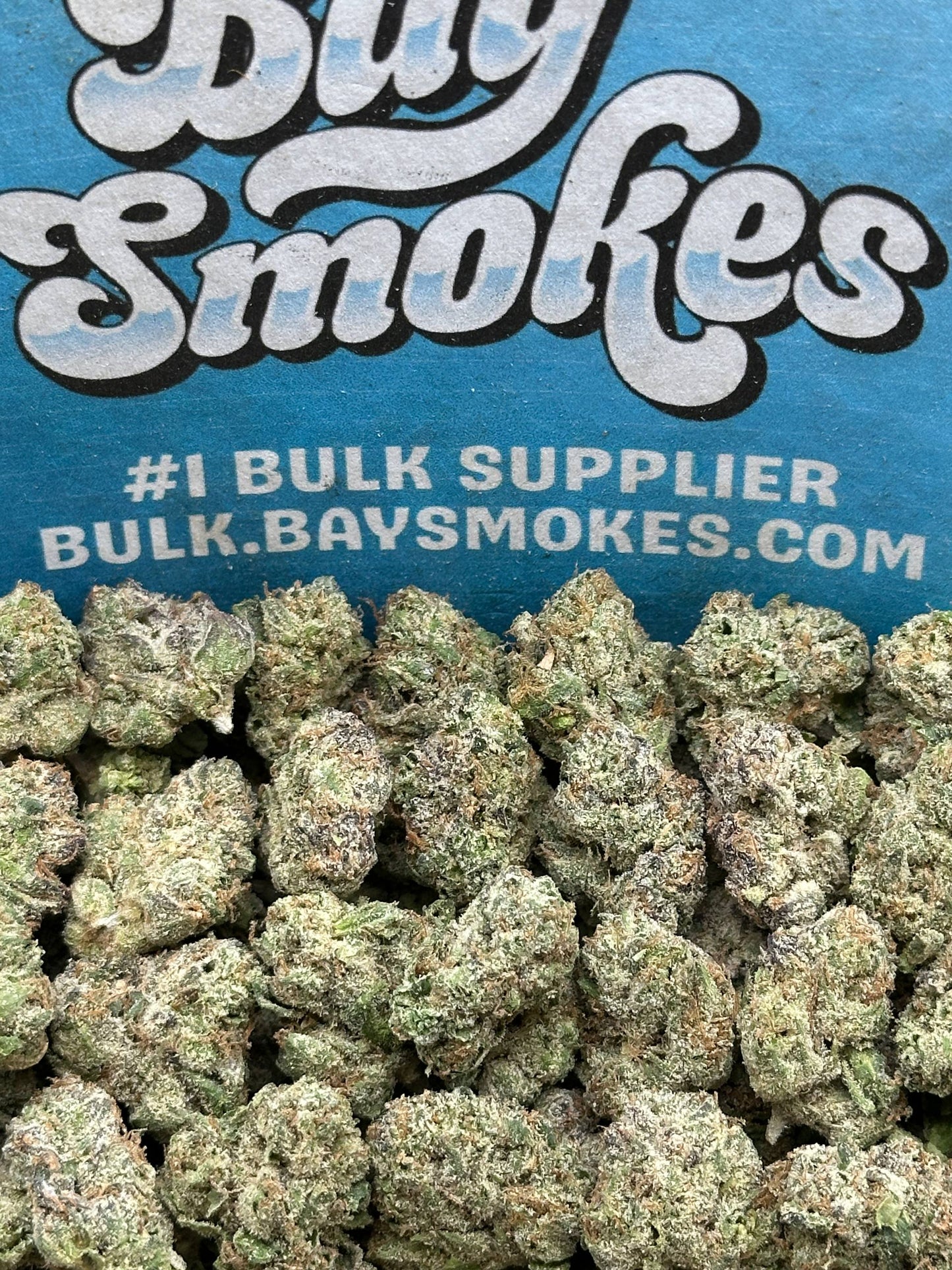 Grape Soda SM (Hybrid)