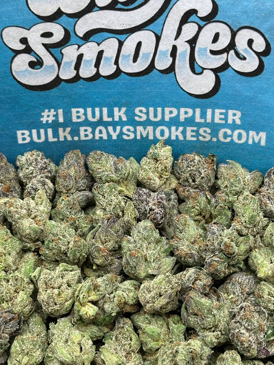 Mango Dream SM (Indica)