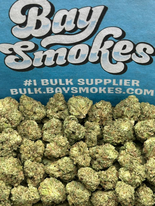 Koolato SM (Indica)