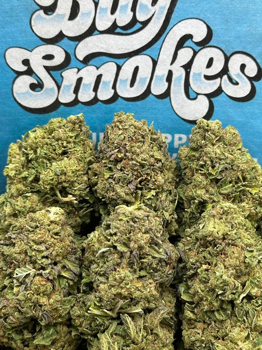 Biscotti (Hybrid)