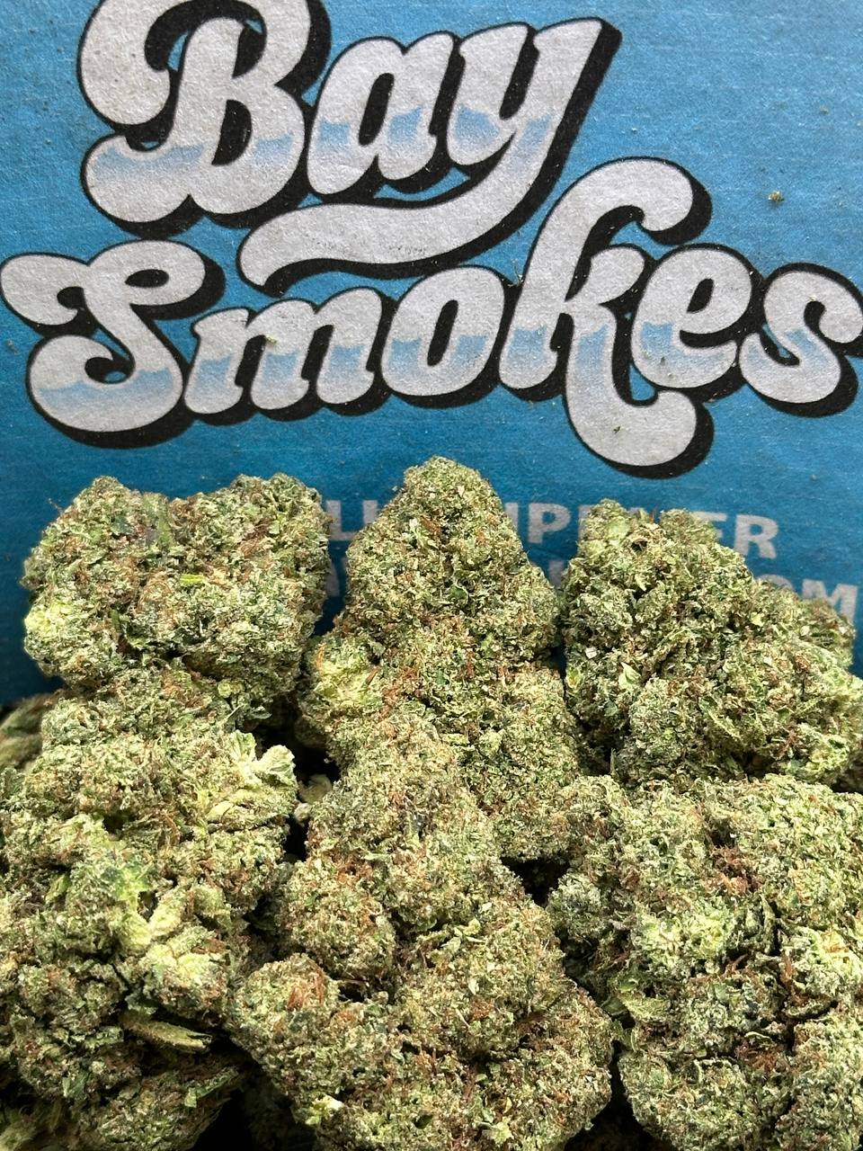 Mr Nasty (Indica)