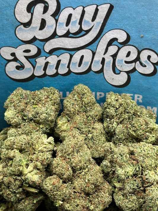 Mr Nasty (Indica)