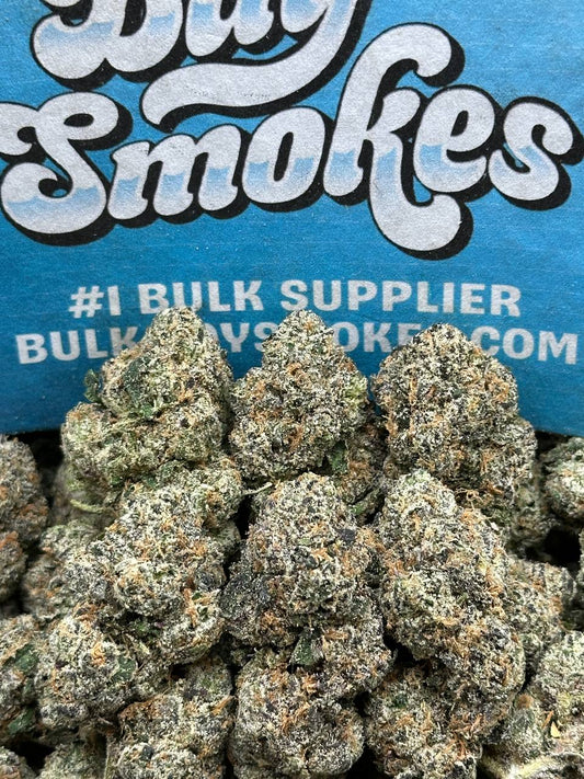 ZAP (Indica Hybrid)