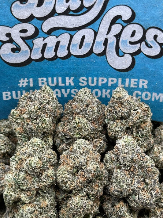 WHAM (Indica)