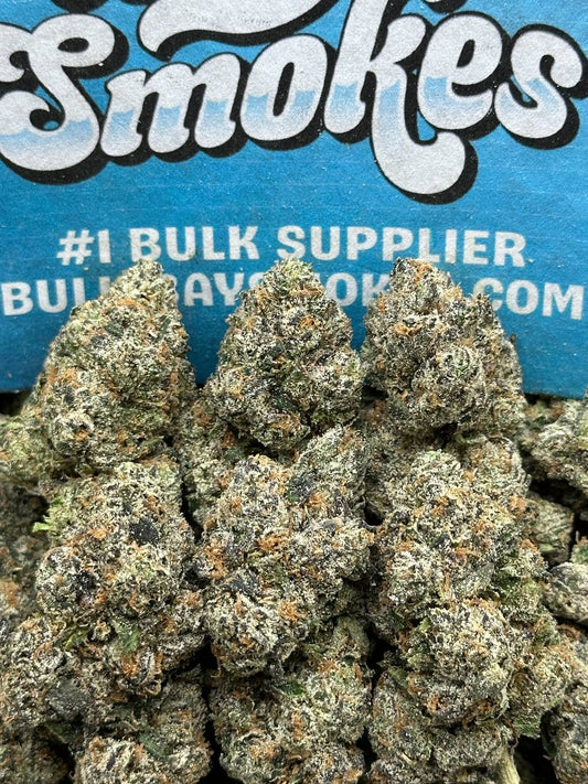 Rainbow Sherbet (Hybrid)