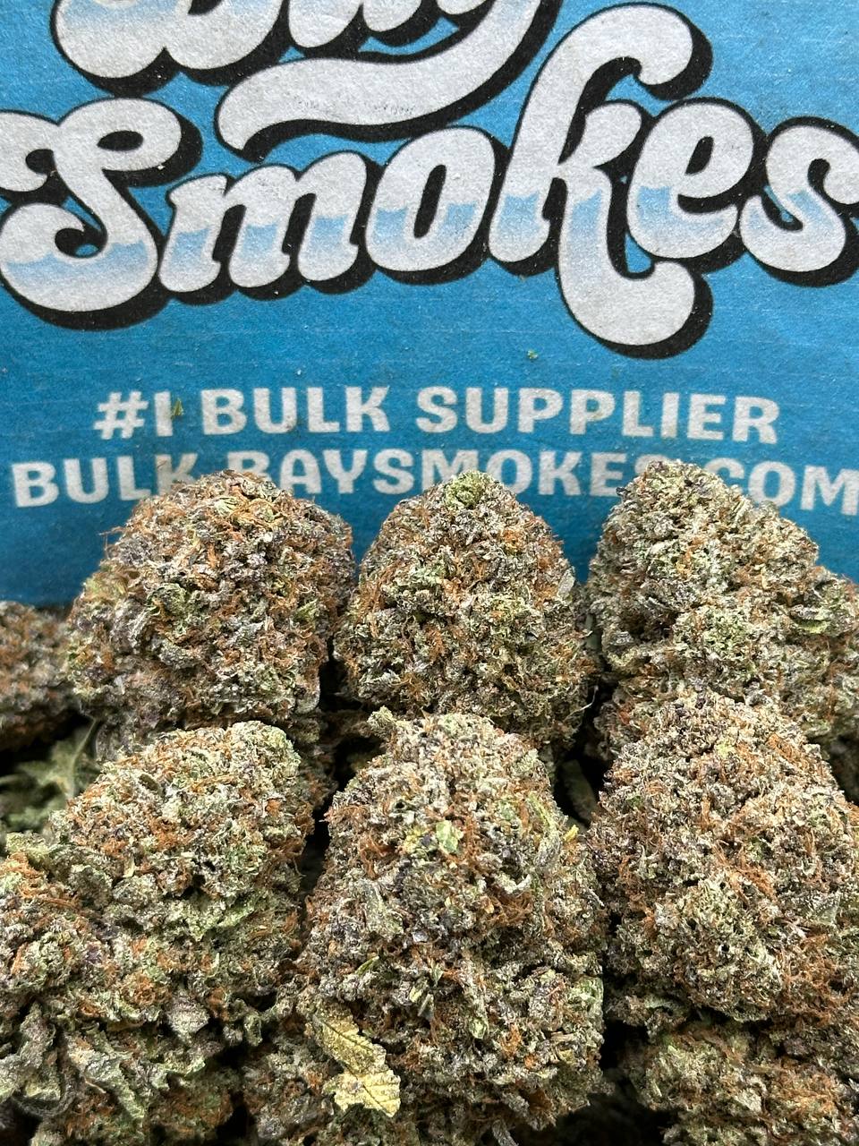 Gelato Paloma (Indica)