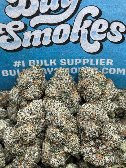 WOW(Hybrid)