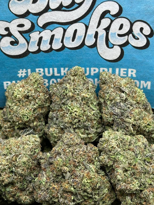 Mint Chocolate Runtz (Hybrid)