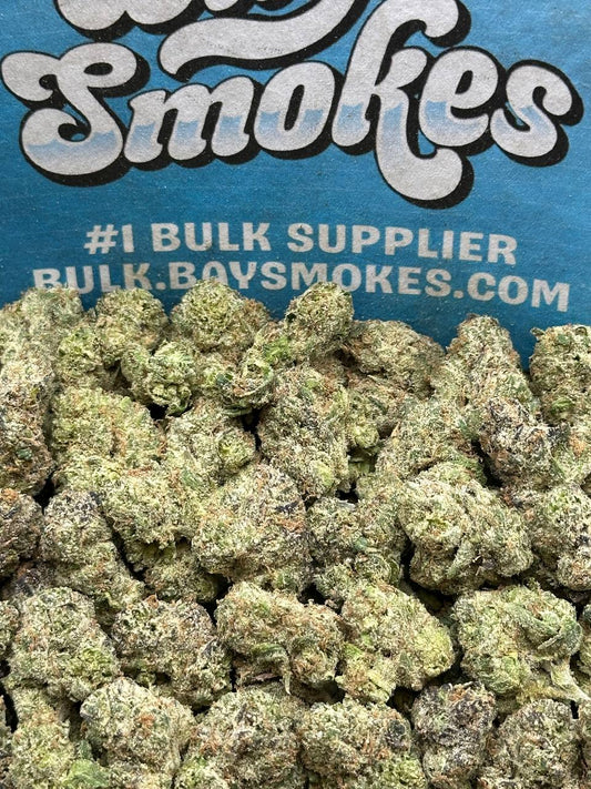 Orange Push Pop SM (Hybrid)